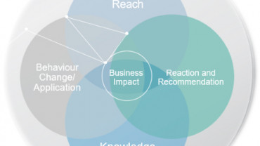 Management Consulting Experiences