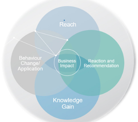 Management Consulting Experiences