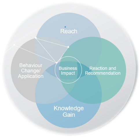 Management Consulting Experiences